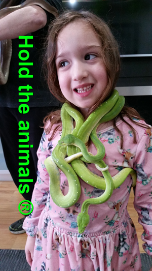 Kids reptile party
